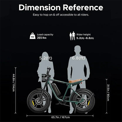 1000W Electric Bike for Adults, Retro-Style, 28mph, 94 Miles Range, 20 Fat Tires, Full Suspension, UL Certified